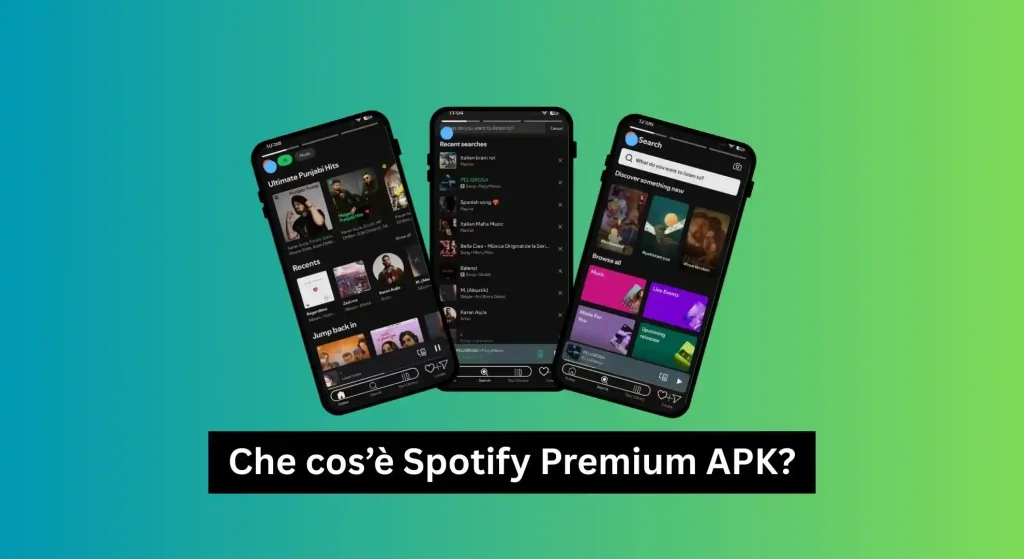 Che cos’è Spotify Premium APK_1